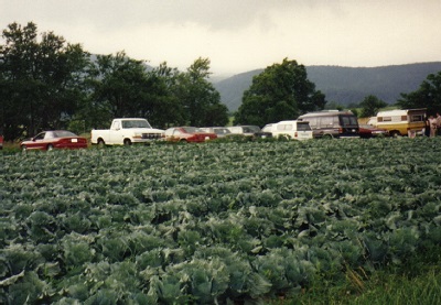 Home Grown Mountain Cabbage