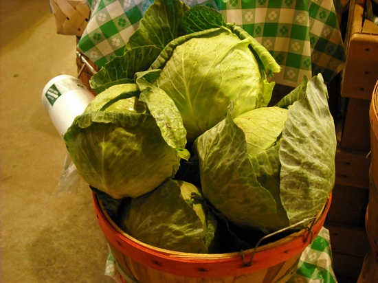 Mountain Cabbage