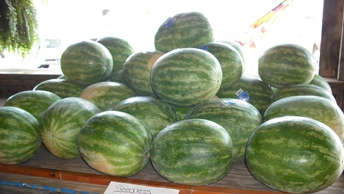 Watermelon's